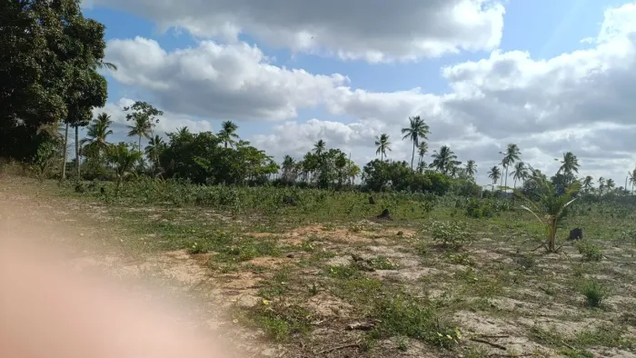 Vende-se pequeno sítio 