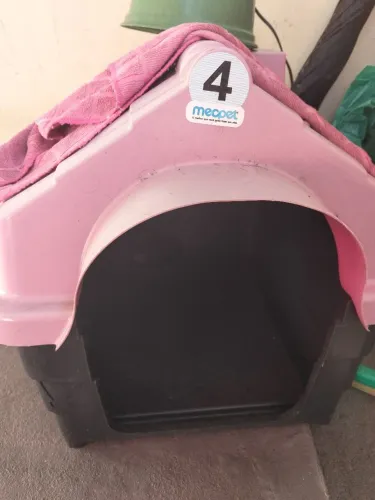 Casinha de cachorro 