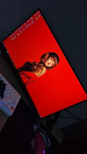Monitor crs24b