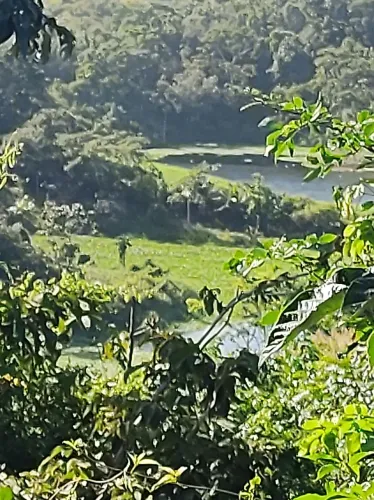 Venda de sitio
