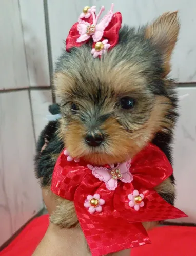 Que linda princesa de yok