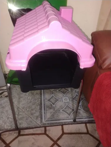 Casinha de cachorro