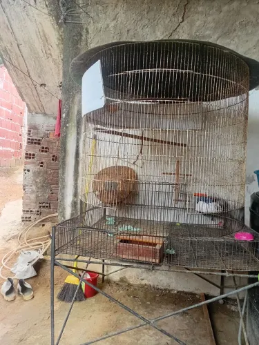 Viveiros para pássaros