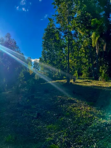 Terreno de Chácara em Campo largo - Entrada de Apenas R$35 Mil + Parcelas Sem Juros!