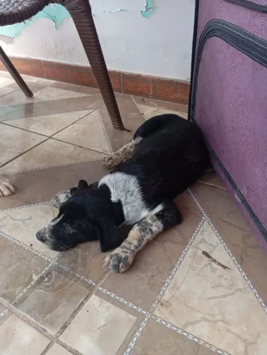 Doando