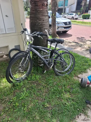 1 bicicletas calor 100 aro 26 21 marchas (masc e fem)