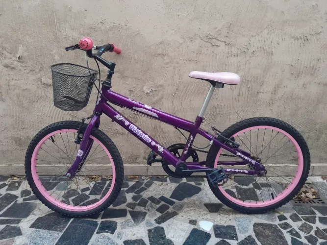 Bicicleta Feminina Infantil Aro 20
