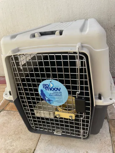 Caixa Transporte Pet Avião Reforçada + Bebedouro/Comedouro