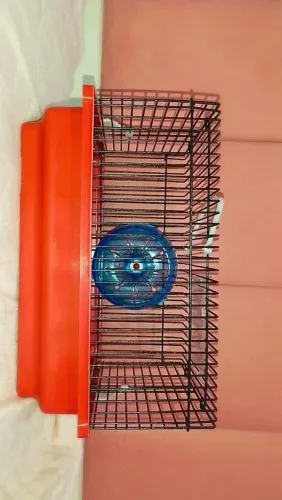 Gaiola para hamster com rodinha portinha