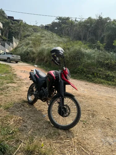 Vendo lander