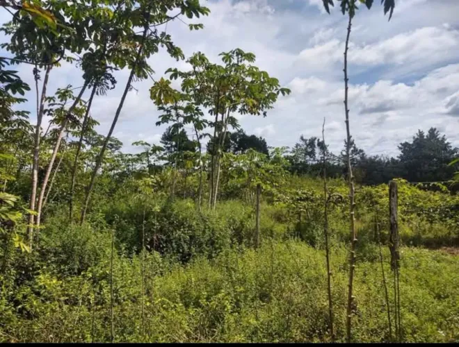Vende-se ou negócio 