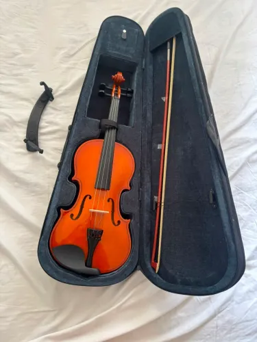 Violino vivace novo