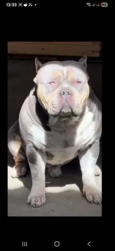 Pit monster 
