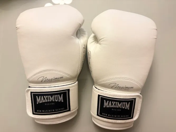 luva de muay thai/ boxe