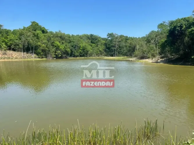Chacara 7 alqueires (33.88 hectares) Cezarina - GO