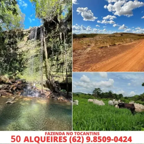 Fazenda SItio Chacara A Venda Promoçao super Barato chacara Setor Regiao Tocantins Palmas 