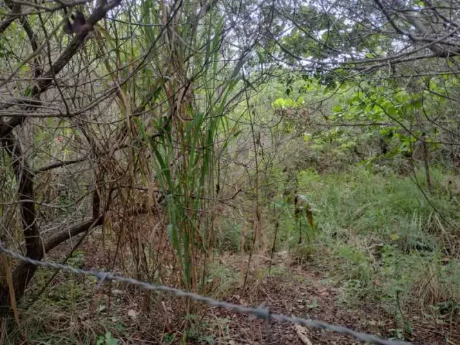Terreno na Marina