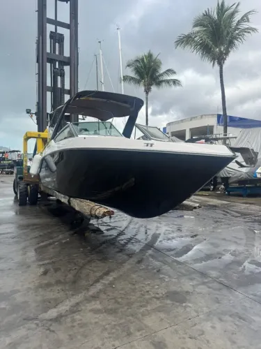 Lancha Focker 242 Gto Motor Mercury 4.5 250Hp. - 2022