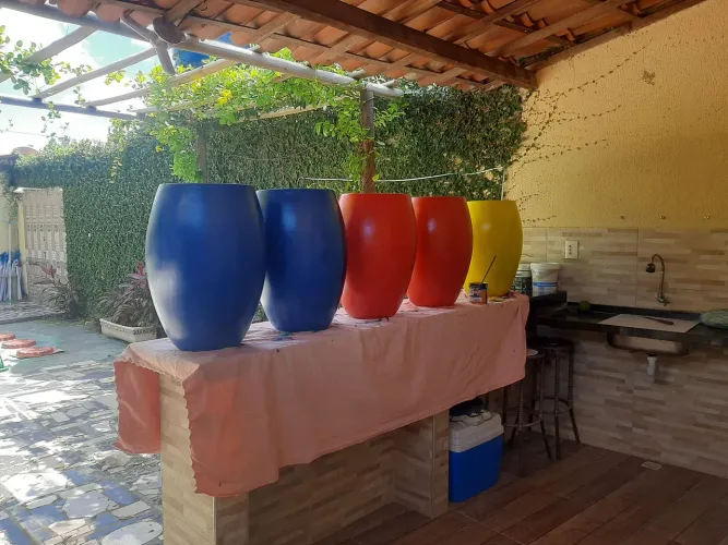 Vasos de planta coloridos para jardim