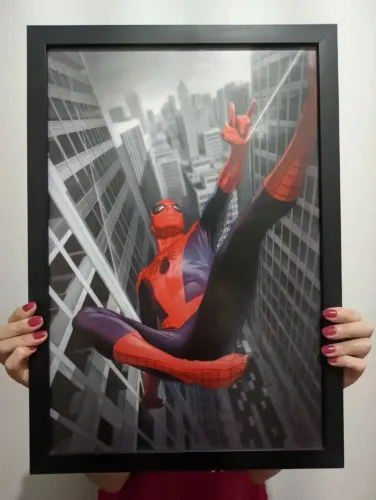 Quadro Homem Aranha por Alex Ross