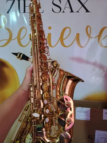 Sax alto slade dourado NOVO 