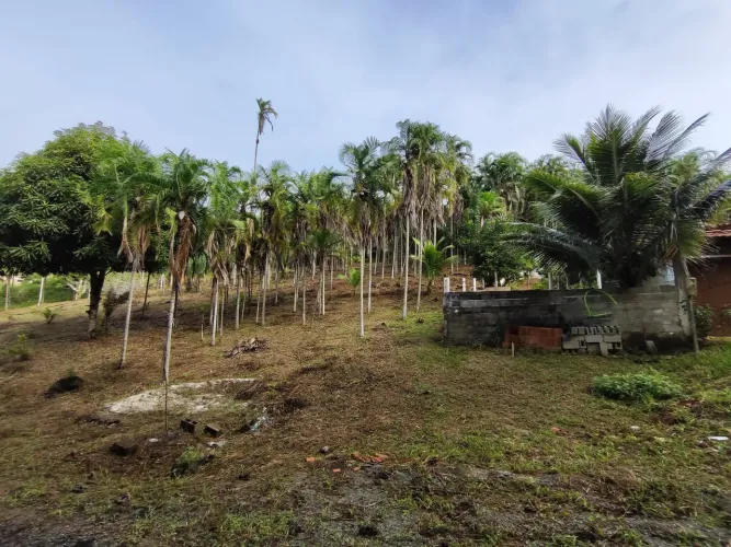Terrenos na Cascalheira próximo ao pedágio de vilas de Abrantes.
