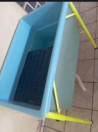 Banheira para pet