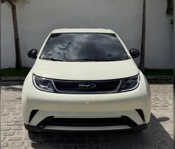 BYD Dolphin Mini GL 2025