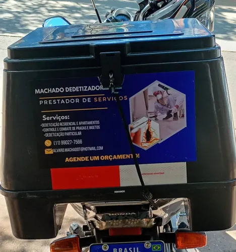 Dedetização