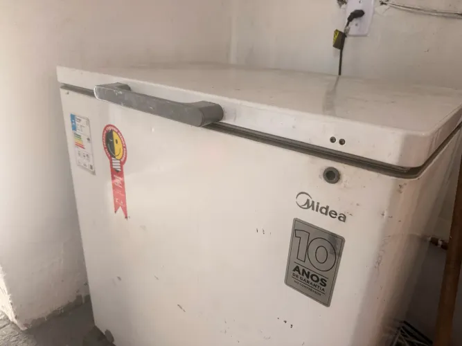 Frizzer 205 L