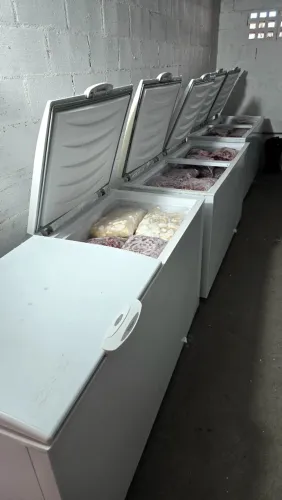 freezer gelopar