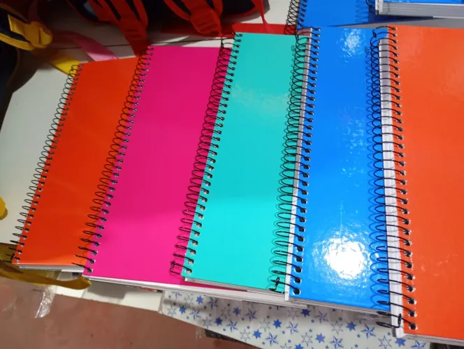 Cadernos de 10 matérias, cores variadas . Fazemos entrega 