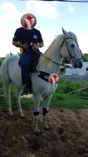 Cavalo direita 13.500