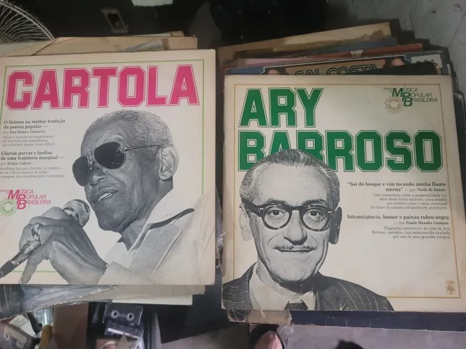 Lote Discos De Vinil Mpb, Samba, Sertanejo + Mix Promocionais 
