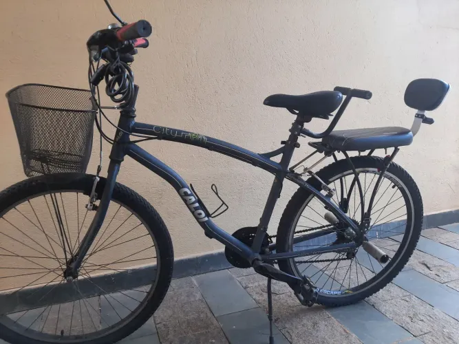 Bicicleta adulto