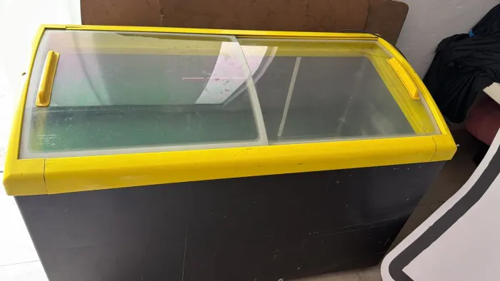 Freezer horizontal