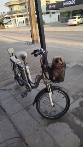 Bike vintage