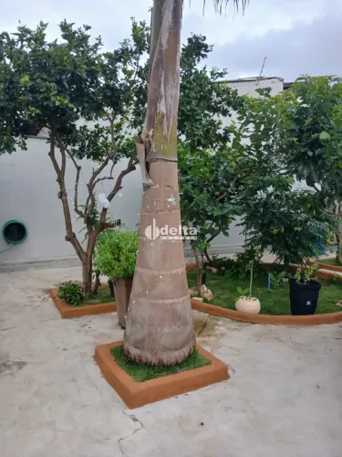 Casa com 3 quartos sendo 2 suítes disponível para venda no bairro Cidade Jardim em Uberlân