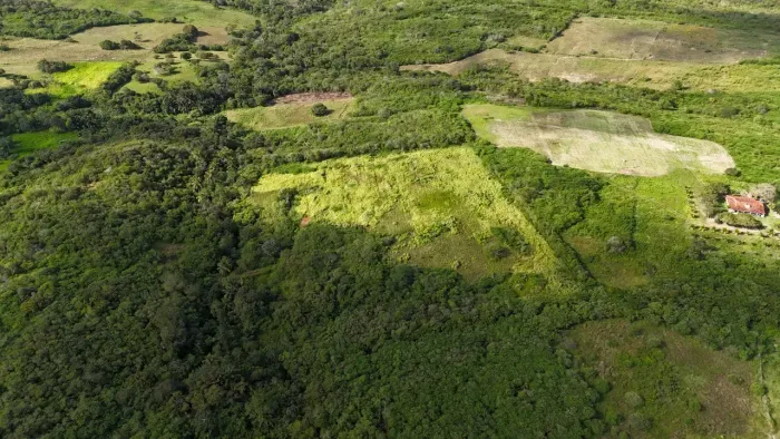 Excelente Granja com 11.2 hectares em cobe município de Vera cruz