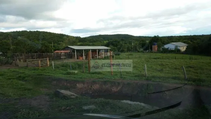 Fazenda na MT-451 com 165 hectares , 100 km do Trevo do Lagarto