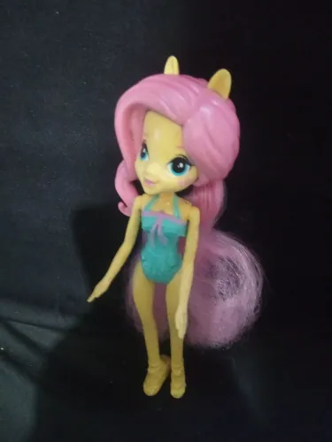My little ponto equestria girls Fluttershy