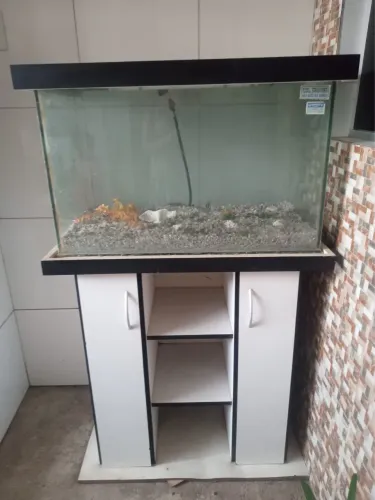 Aquário pequeno