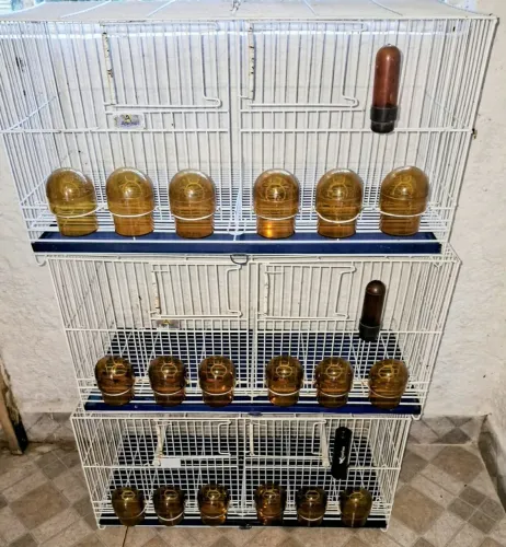 Gaiolas aramil