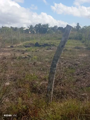 Terre na a encarnação de Salinas só manda mensagem se tiver interesse