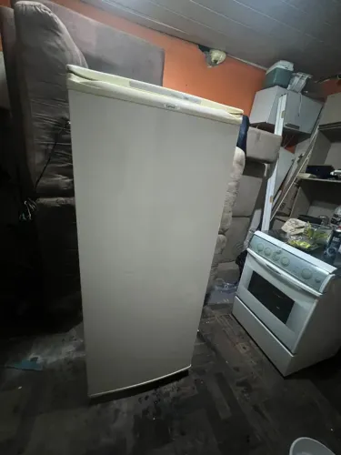 Vendo geladeira 110w