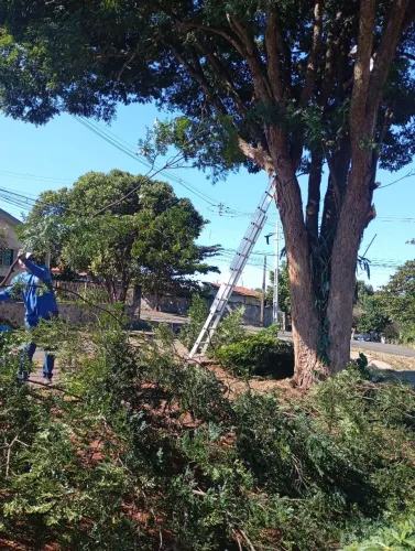 Golden jardinagem fazendo o de melhor