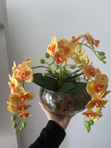 Orquídea 