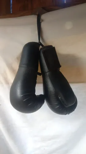 Treino