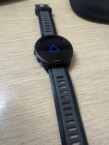 Garmin 165 music