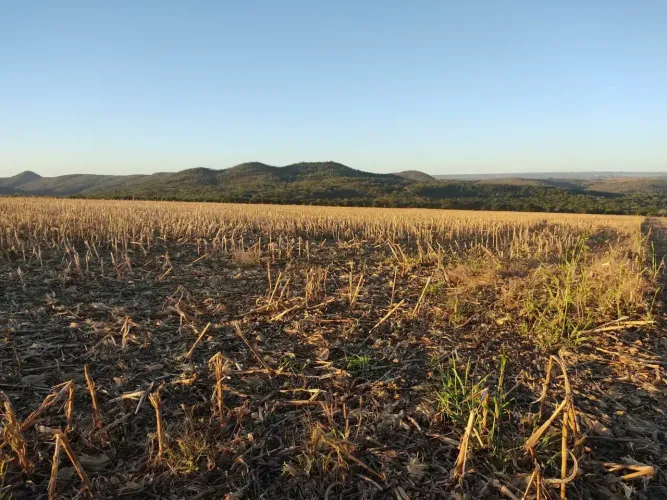 Fazenda a venda, em Planaltina - Goiás!!!